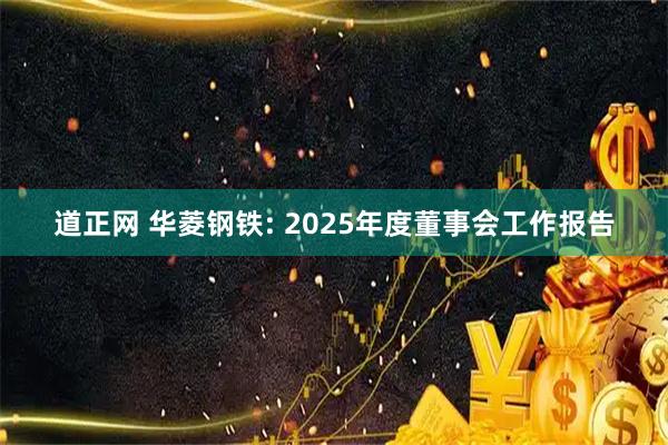 道正网 华菱钢铁: 2025年度董事会工作报告