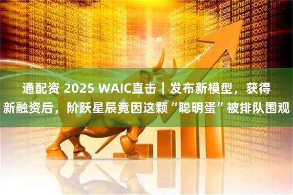 通配资 2025 WAIC直击｜发布新模型，获得新融资后，阶跃星辰竟因这颗“聪明蛋”被排队围观